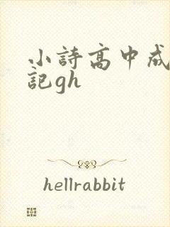 小诗高中成长日记gh