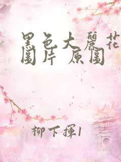 黑色大丽花真实图片 原图