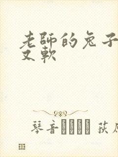 老师的兔子又大又软