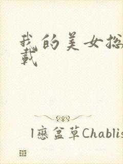 我的美女总裁下载