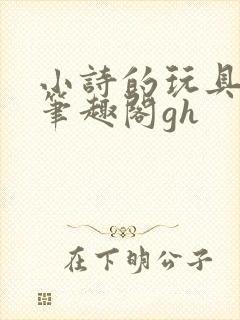 小诗的玩具日记笔趣阁gh