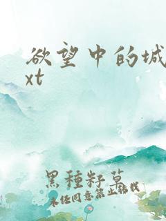 欲望中的城市txt