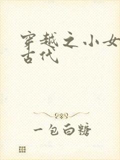 穿越之小女子闹古代