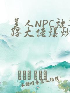 美人NPC被各路大佬爆炒小说