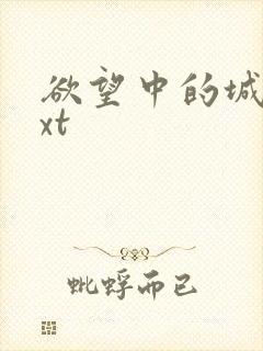 欲望中的城市txt