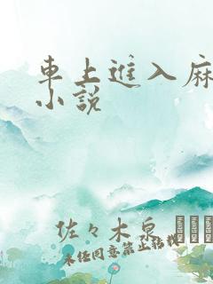 车上进入麻麻的小说