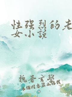 性强烈的老年妇女小说