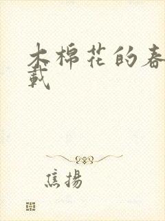 木棉花的春天下载