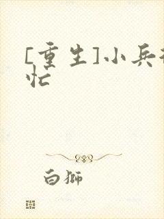 [重生]小兵很忙