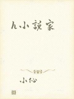 h小说家