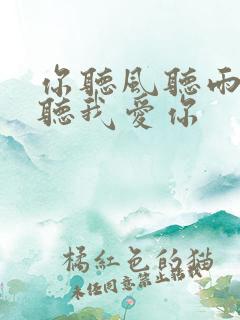 你听风听雨却不听我爱你