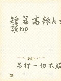 短篇高辣h文小说np