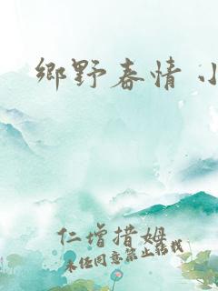乡野春情 小说