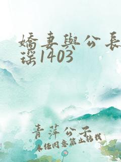 娇妻与公长篇瑶瑶1403