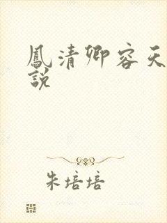 凤清卿容天凌小说
