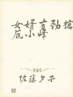 女婿有劲枪枪到底小峰