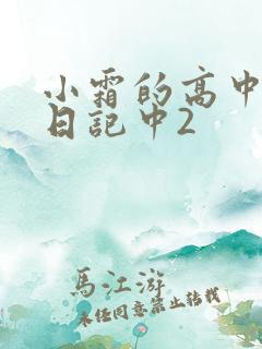 小霜的高中成长日记中2