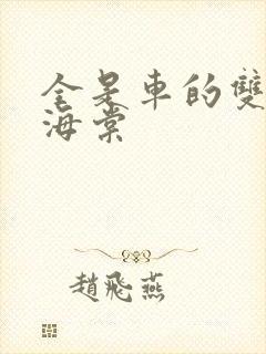 全是车的双男主海棠