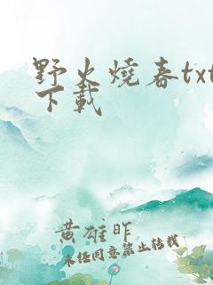野火烧春txt下载