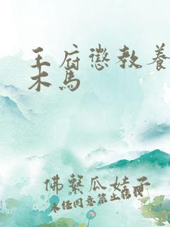 王府惩教养日常木马