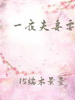 一夜夫妻要结婚