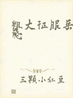 粗大征服岳女双飞