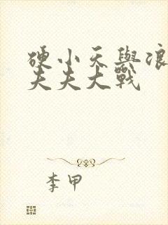 硬小天与浪小辉夫夫大战