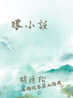 眼小说