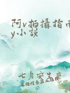 阿v拍摄指南by小说