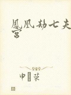 凤凰劫七夫乱后宫