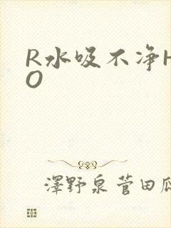 R水吸不净HPO