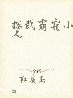 总裁霸宠小小女人