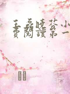 王磊晓芬小说免费阅读第一章