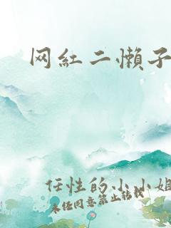 网红二懒子车祸