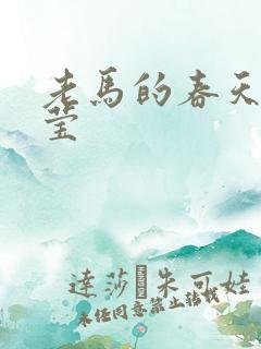老马的春天王雪莹