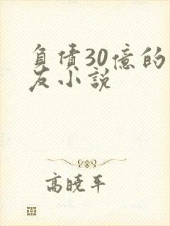 负债30亿的男友小说