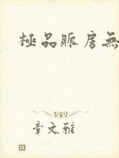 极品账房无弹窗