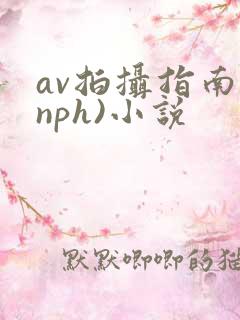 av拍摄指南(nph)小说