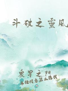 斗破之灵风
