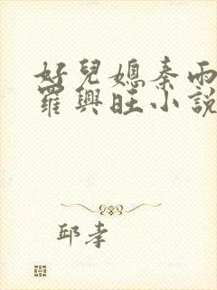 好儿媳秦雨罗明罗兴旺小说