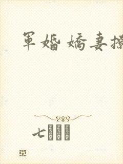 军婚 娇妻撩人
