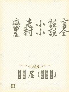 恋老小说言情网农村小说全文阅读