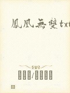 凤凰无双txt