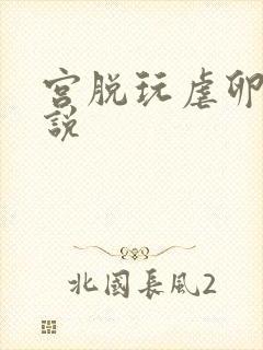 宫脱玩虐卵巢小说