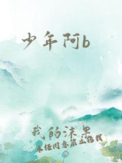 少年阿b