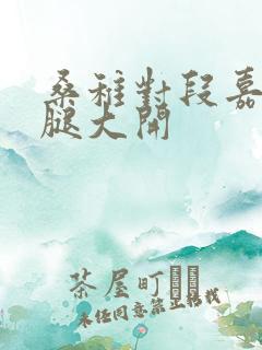 桑稚对段嘉许双腿大开