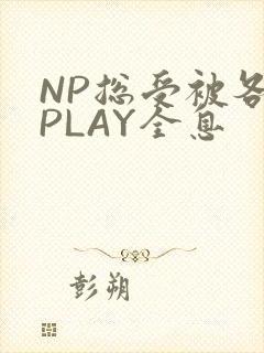 NP总受被各种PLAY全息