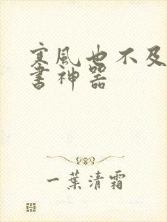 寒风也不及她追书神器