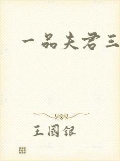 一品夫君三流妻