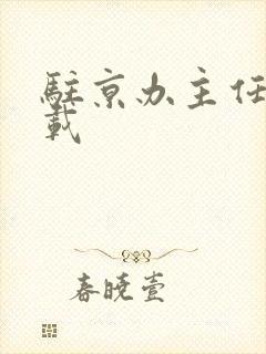 驻京办主任 下载